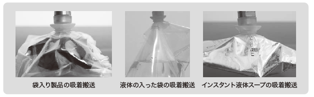 PN-B